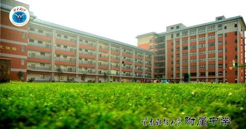 云南财大新生爆料视频,揭秘校园生活与学习环境  第1张